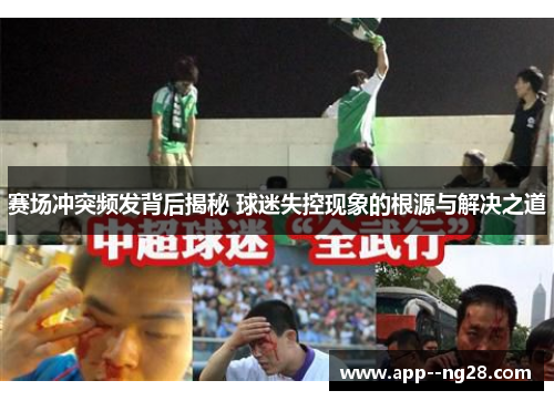 赛场冲突频发背后揭秘 球迷失控现象的根源与解决之道