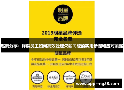 赵鹏分享：详解员工如何高效处理欠薪问题的实用步骤和应对策略