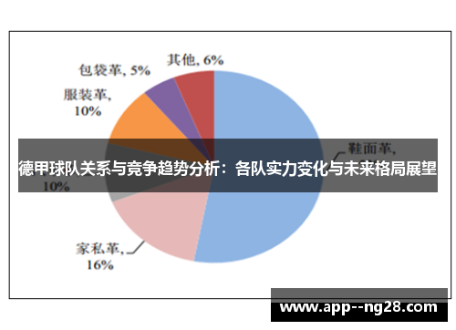 德甲球队关系与竞争趋势分析：各队实力变化与未来格局展望