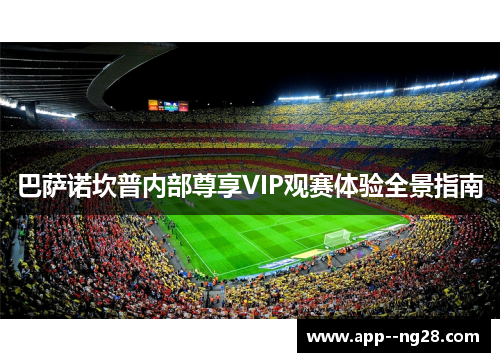 巴萨诺坎普内部尊享VIP观赛体验全景指南